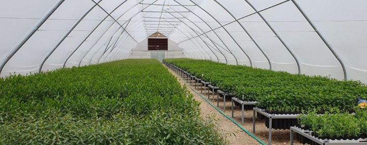 Партнерство для охраны окружающей среды и развития общин 