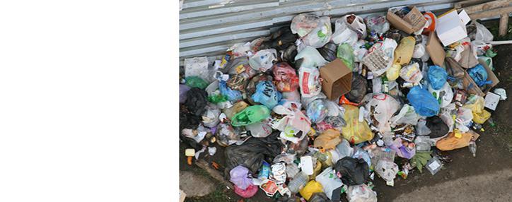 Мобильное приложение "My Armenia" поможет убрать мусор с улиц