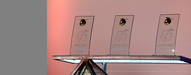 Организаторы "Золотого абрикоса" поблагодарили агентство "АРКА"