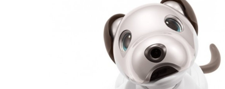 Робот-собака оказала сопротивление человеку (ВИДЕО)