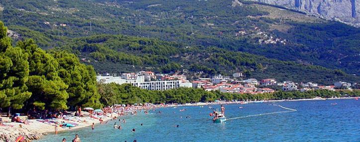 Airbnb запускает функцию для искателей приключений