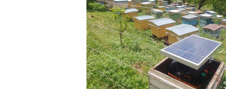 Вива-МТС: в селе Гомк внедрены «зеленые» технологии