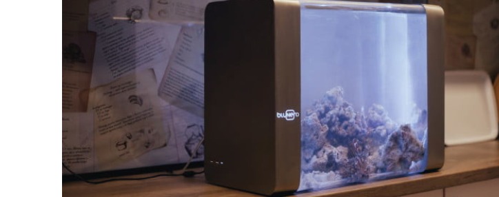 Армянский стартап собирает $1 млн. на производство "умного" аквариума
