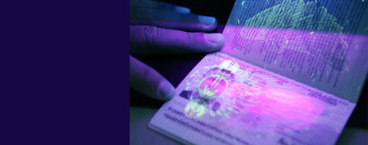 Миграционные услуги в Армении отныне доступны онлайн