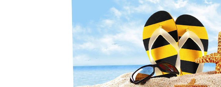 Армянский Beeline предлагает выгодные тарифы на роуминг в странах ЕАЭС