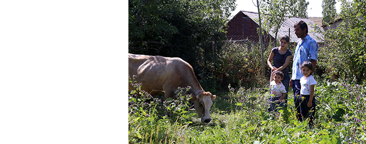 Ucom помог обеспечить стабильным доходом еще одну семью в селе Арагацотнской области