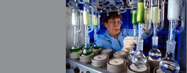 Ученые создали пожирающих свет бактерий-киборгов