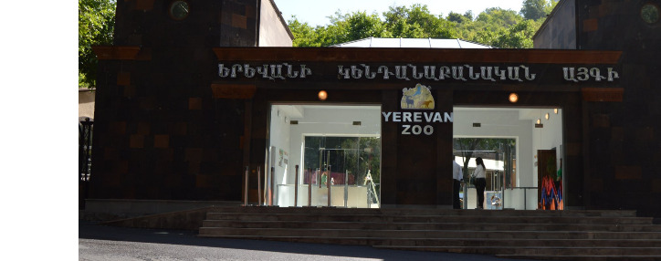 Дети смогут бесплатно посетить зоопарк в Ереване при содействии VivaCell-MTS