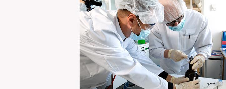 Почки будут выращивать в лаборатории