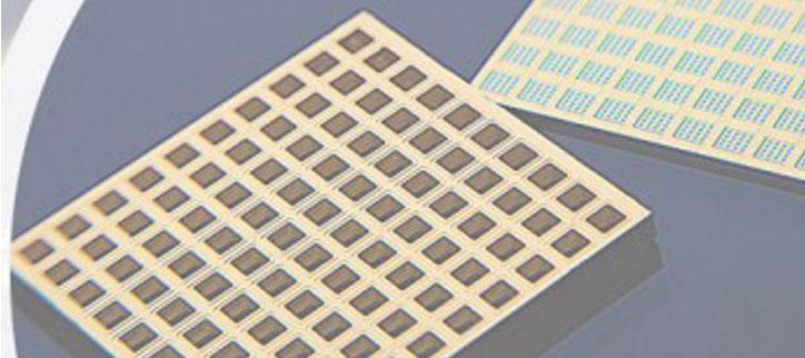 Ученые создали первый "живой" кремниевый микрочип