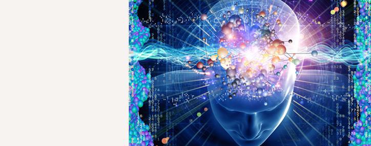 Ученые нашли Wi-Fi в человеческом мозге