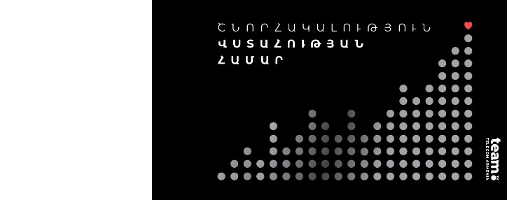 Team Telecom Armenia-ի` 8 մլրդ 240 մլն դրամի բաժնետոմսերն ամբողջությամբ տեղաբաշխվեցին