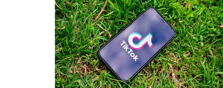  Armenia proposes to restrict the work of TikTok