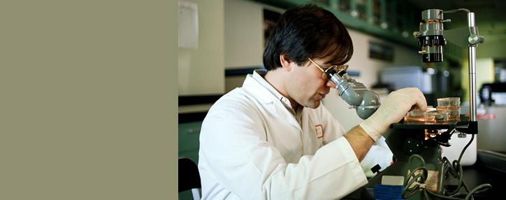 Ученые превратили в дисплей обычную бумагу