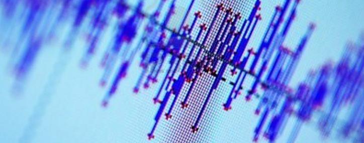  Google планирует создать самую обширную сеть для оповещения о землетрясениях