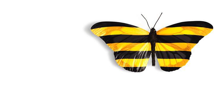 «АрменТел» содействует экологической программе «Избавим окружающую среду от полиэтиленовых пакетов»