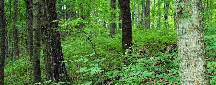 Геоинформационная система будет установлена в Хосровском заповеднике в Армении – министр