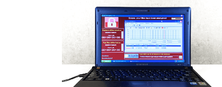 В Армении сократилась доля жертв атак троянцев-шифровальщиков – исследование 