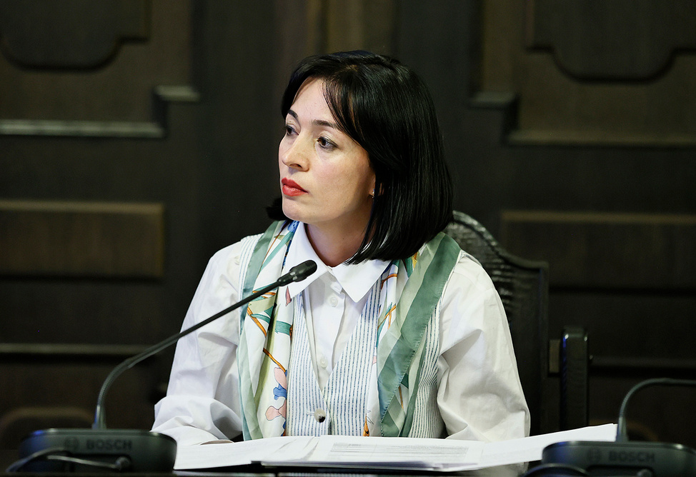 AI program to be implemented in over 10 schools in Armenia - minister