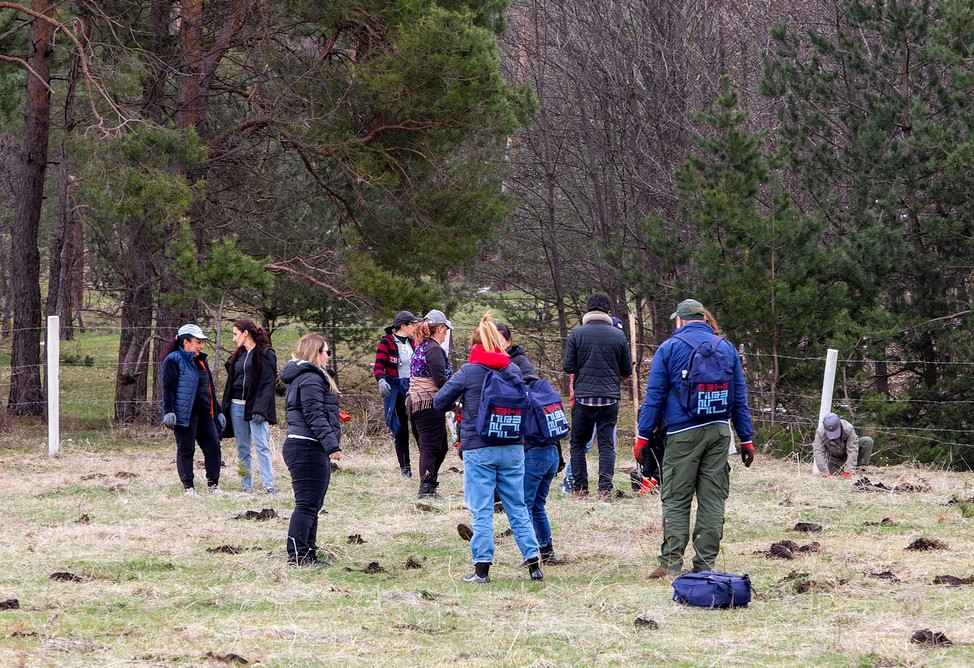 Team создаёт лес площадью в один гектар в Лорийской области