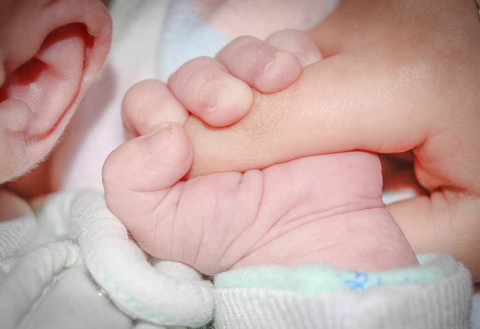 Регистрация новорожденных в Армении отныне доступна онлайн 