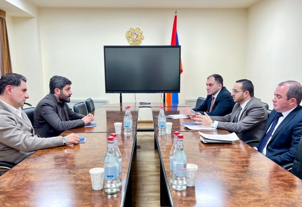  В Армении обсуждают продвижение новых облачных и AI-сервисов компании Eleveight AI