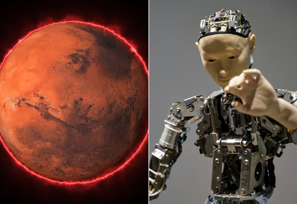  Маск решил осенью отправить на Марс роботов с ИИ 