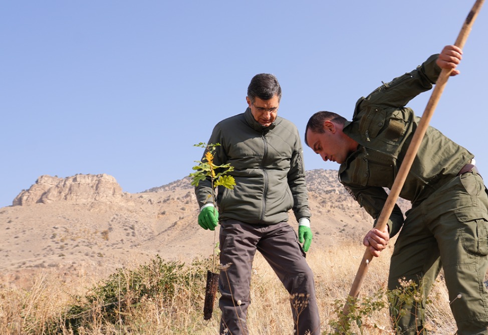  Ucom's green initiative continued in Urtsadzor