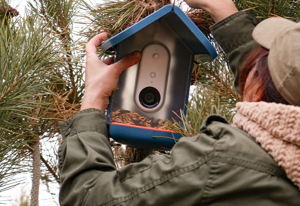 Ucom и SunChild реализуют программу «Умное наблюдение за птицами»